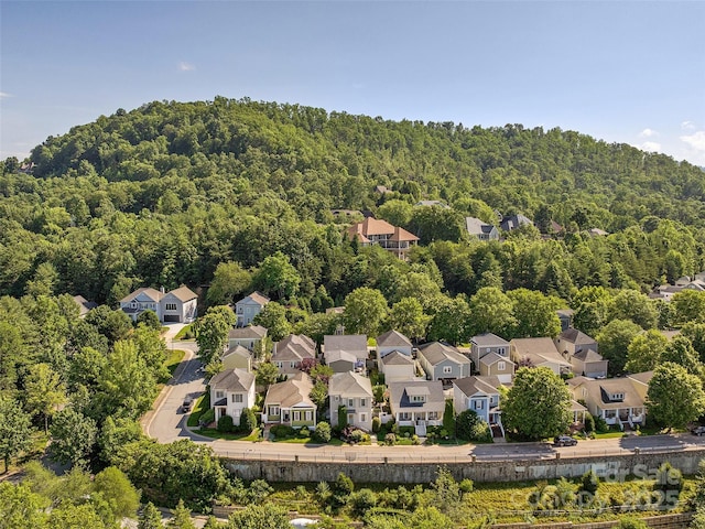206 Leucothoe Ln, Asheville, NC 28803 - photo 33