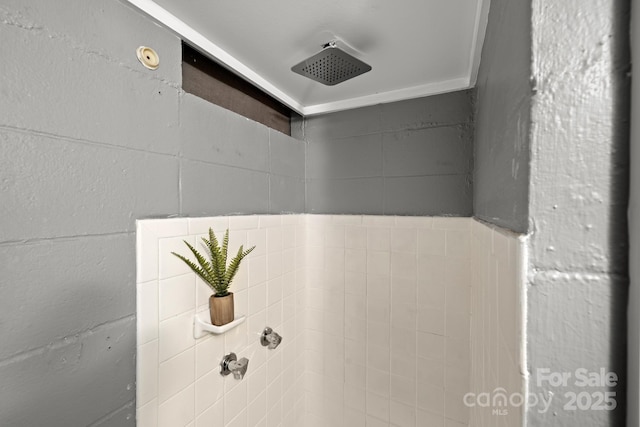 6672 Brevard Rd, Etowah, NC 28729 - bathroom view of a tile shower