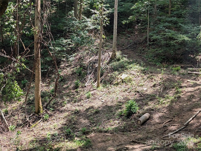 99999 Running Deer Ln Unit 73, Mars Hill, NC 28754