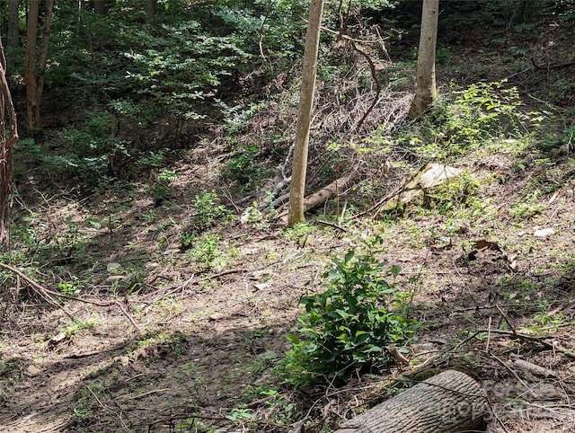 99999 Running Deer Ln Unit 73, Mars Hill, NC 28754