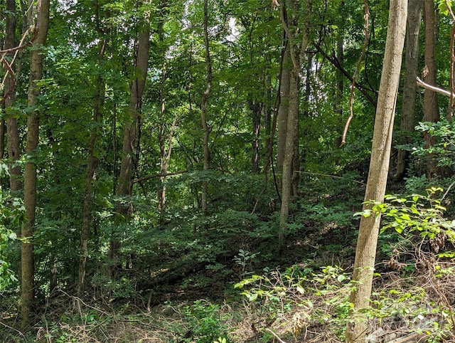 99999 Running Deer Ln Unit 73, Mars Hill, NC 28754