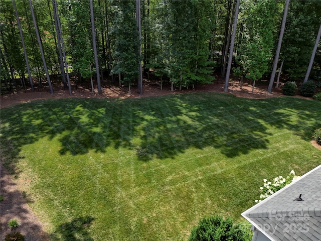 238 Grasshopper Cir, Mooresville, NC 28117 - photo 8
