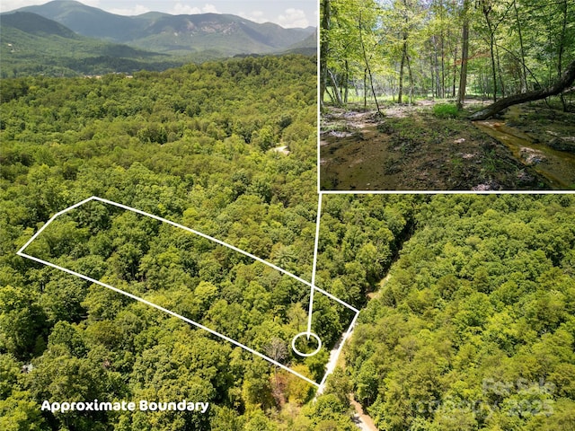 00 Sanderling Ct, Lake Lure, NC 28746