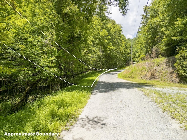 00 Sanderling Ct, Lake Lure, NC 28746