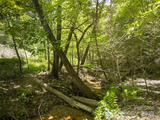 00 Sanderling Ct, Lake Lure, NC 28746