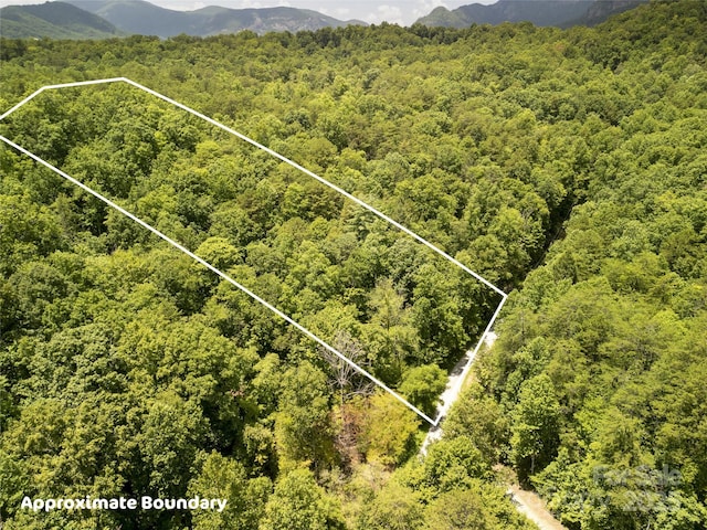 00 Sanderling Ct, Lake Lure, NC 28746