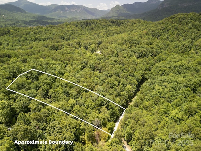 00 Sanderling Ct, Lake Lure, NC 28746