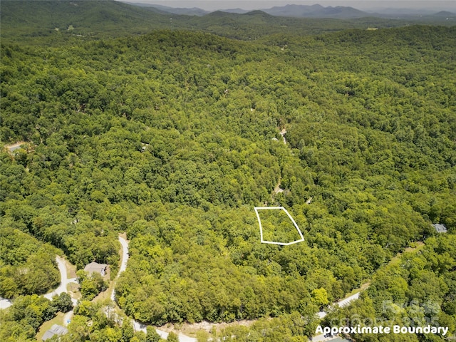 00 Sanderling Ct, Lake Lure, NC 28746