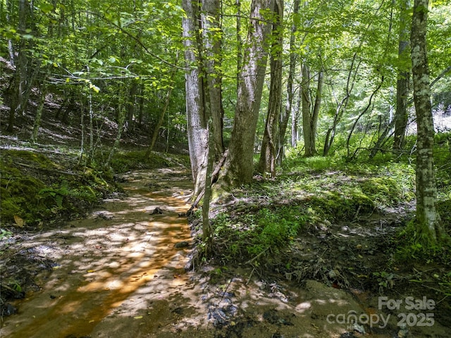 00 Sanderling Ct, Lake Lure, NC 28746