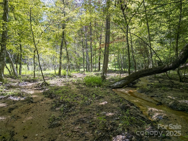 00 Sanderling Ct, Lake Lure, NC 28746