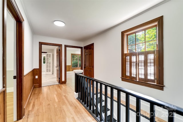 197 Briar Patch Rd, Cullowhee, NC 28723 - hall with an upstairs landing, a wainscoted wall, light wood-type flooring, ornamental molding, and wooden walls