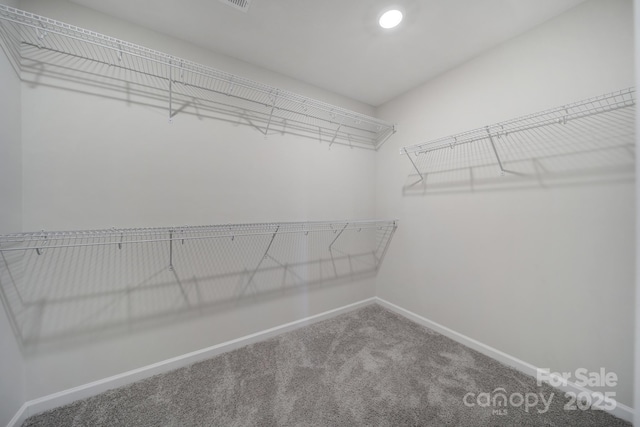 239 Cedar Knoll Cir, Pineville, NC 28134 - photo 19