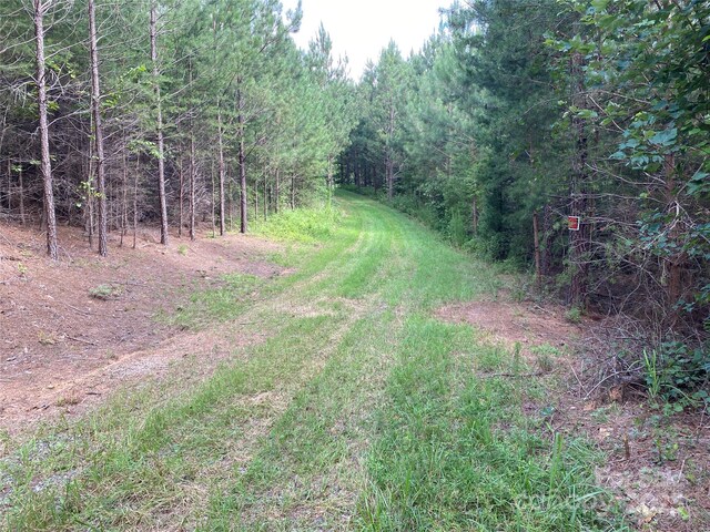 00 Jackson White Rd, Lawndale, NC 28090 - photo 3