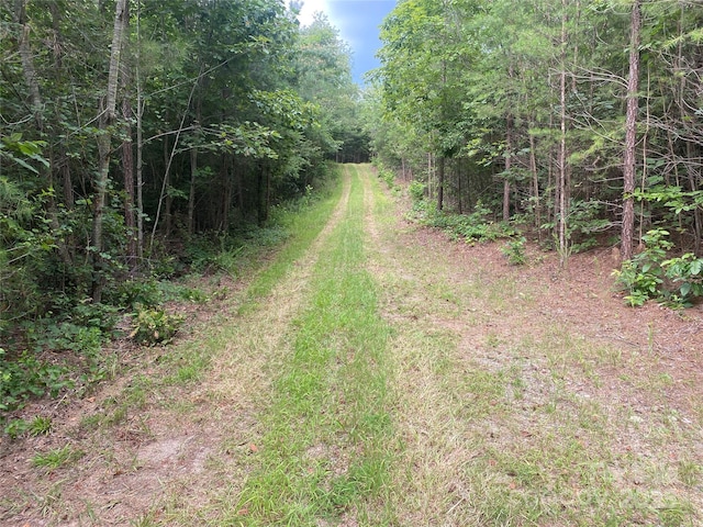 00 Jackson White Rd, Lawndale, NC 28090 - photo 4