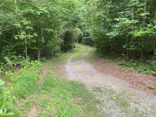00 Jackson White Rd, Lawndale, NC 28090 - photo 5