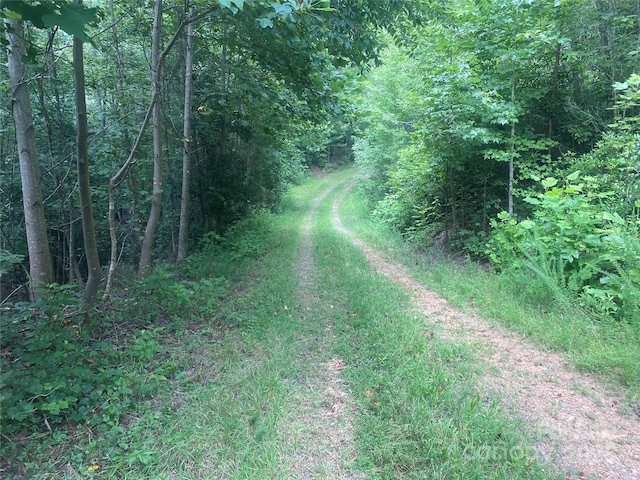 00 Jackson White Rd, Lawndale, NC 28090 - photo 6