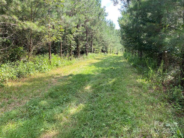 00 Jackson White Rd, Lawndale, NC 28090 - photo 8