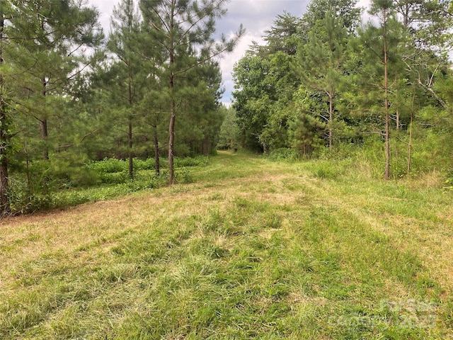00 Jackson White Rd, Lawndale, NC 28090 - photo 9