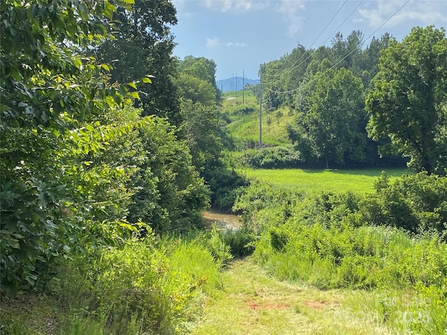 00 Jackson White Rd, Lawndale, NC 28090 - photo 11