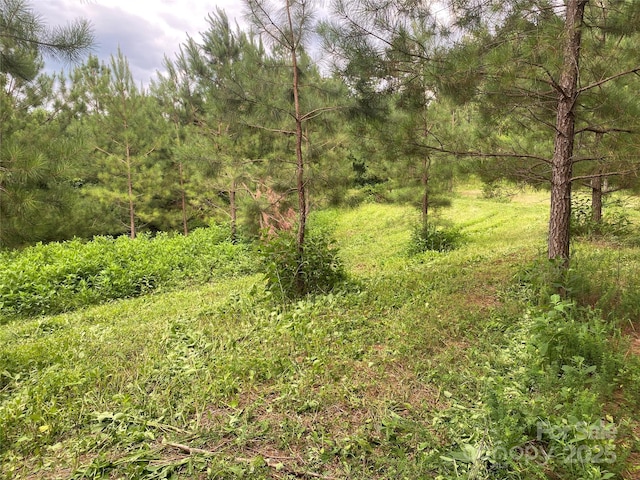00 Jackson White Rd, Lawndale, NC 28090 - photo 13