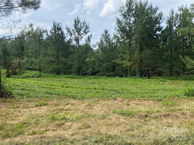 00 Jackson White Rd, Lawndale, NC 28090 - photo 15