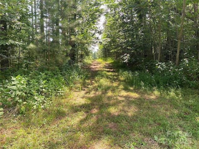 00 Jackson White Rd, Lawndale, NC 28090 - photo 16