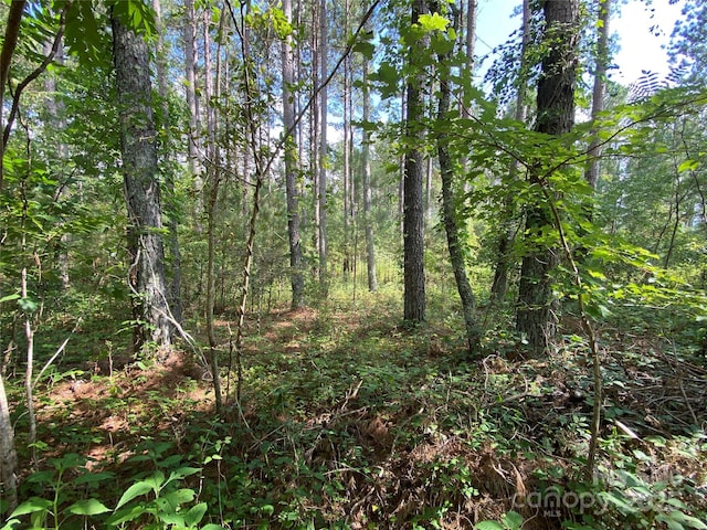 00 Jackson White Rd, Lawndale, NC 28090 - photo 17