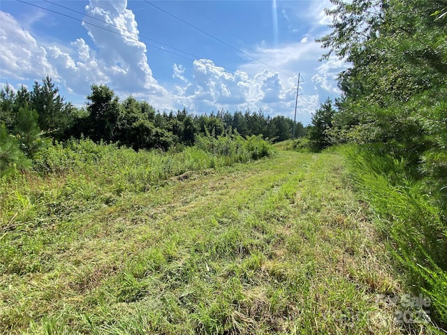 00 Jackson White Rd, Lawndale, NC 28090 - photo 18