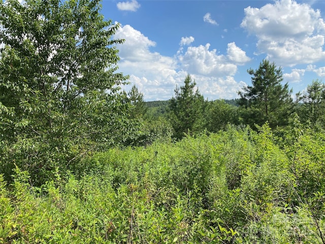00 Jackson White Rd, Lawndale, NC 28090 - photo 23
