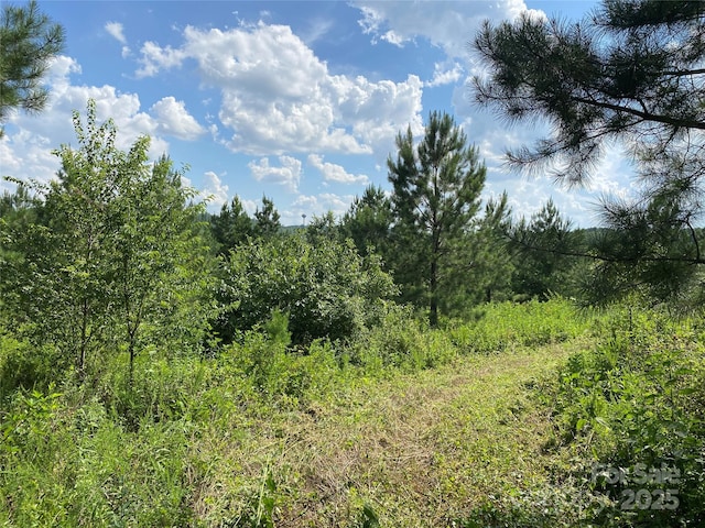 00 Jackson White Rd, Lawndale, NC 28090 - photo 24