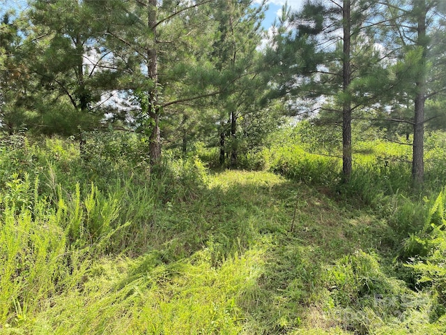 00 Jackson White Rd, Lawndale, NC 28090 - photo 25
