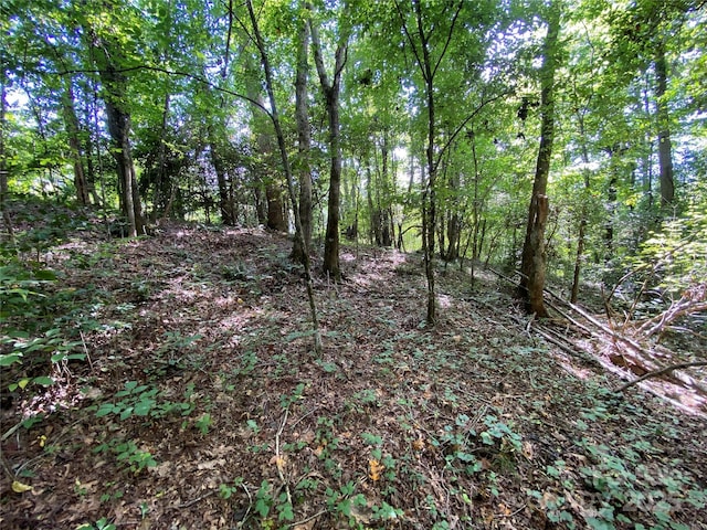 00 Jackson White Rd, Lawndale, NC 28090 - photo 32
