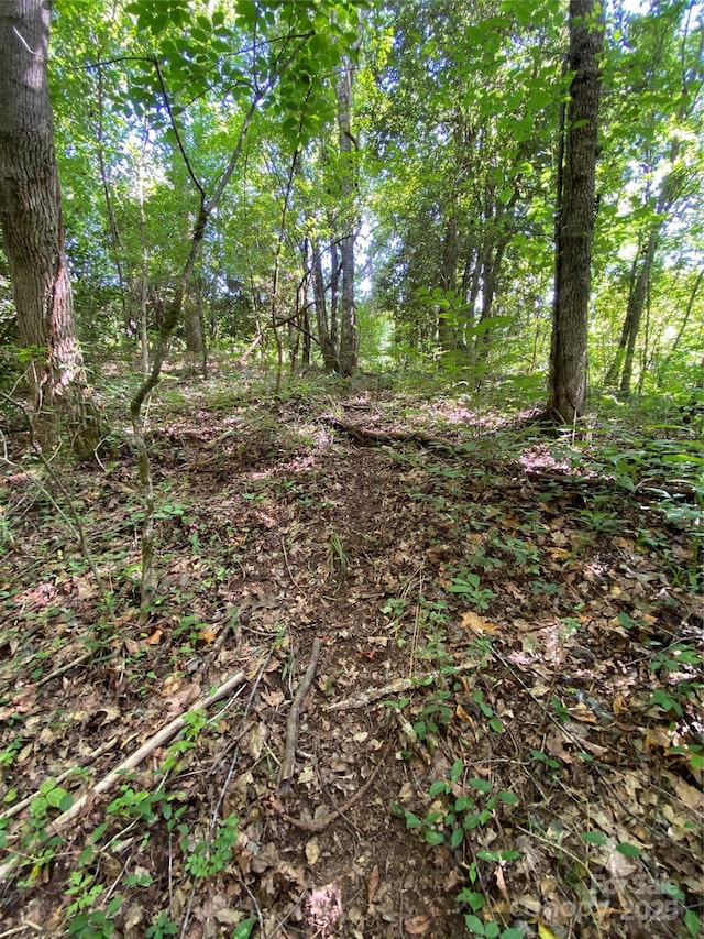 00 Jackson White Rd, Lawndale, NC 28090 - photo 33