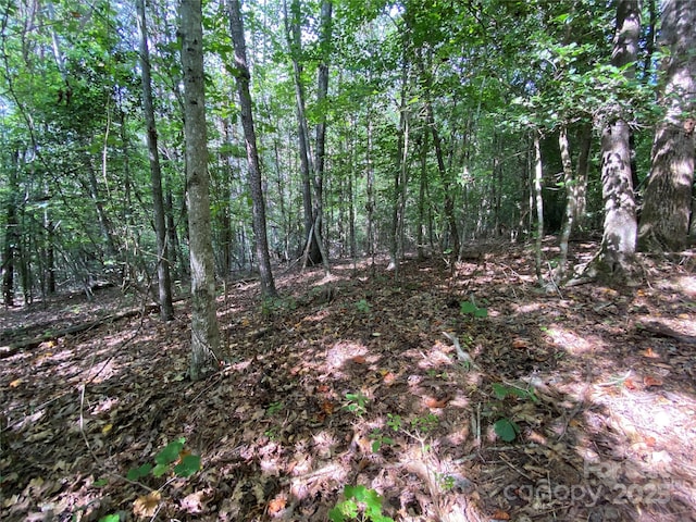 00 Jackson White Rd, Lawndale, NC 28090 - photo 34