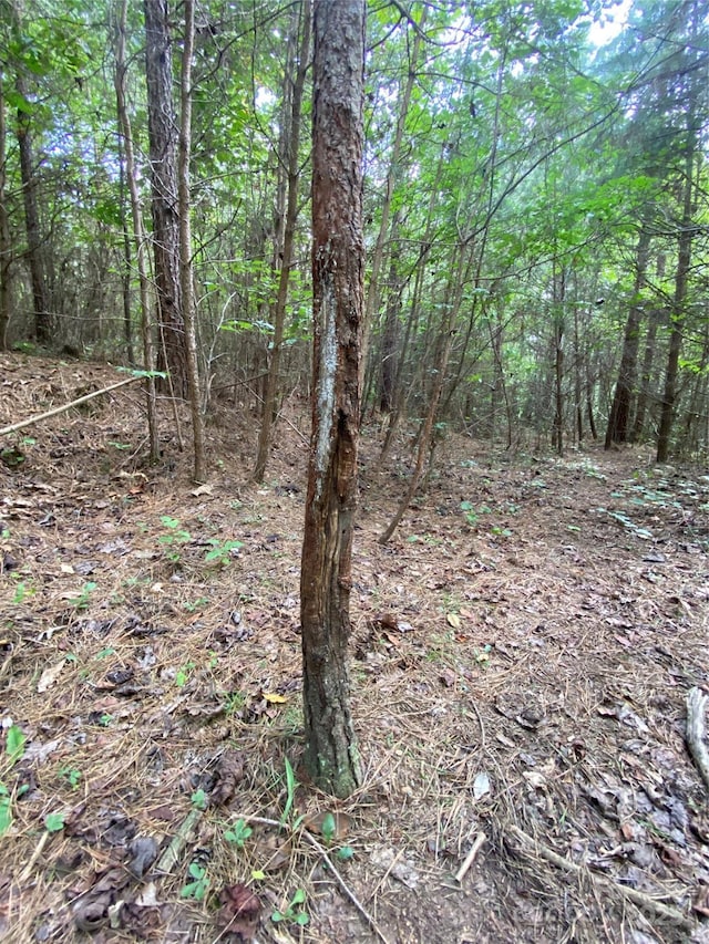 00 Jackson White Rd, Lawndale, NC 28090 - photo 35