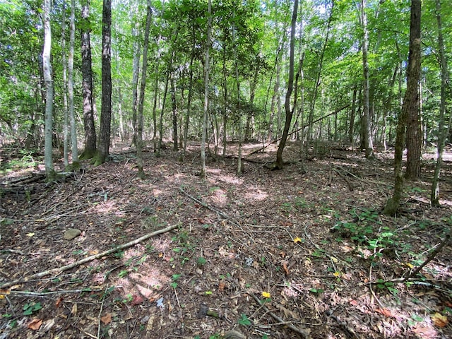 00 Jackson White Rd, Lawndale, NC 28090 - photo 36