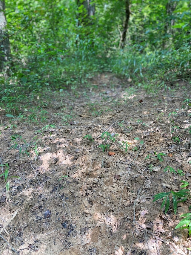 00 Jackson White Rd, Lawndale, NC 28090 - photo 37
