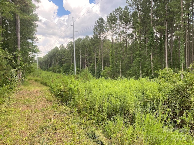 00 Jackson White Rd, Lawndale, NC 28090 - photo 38