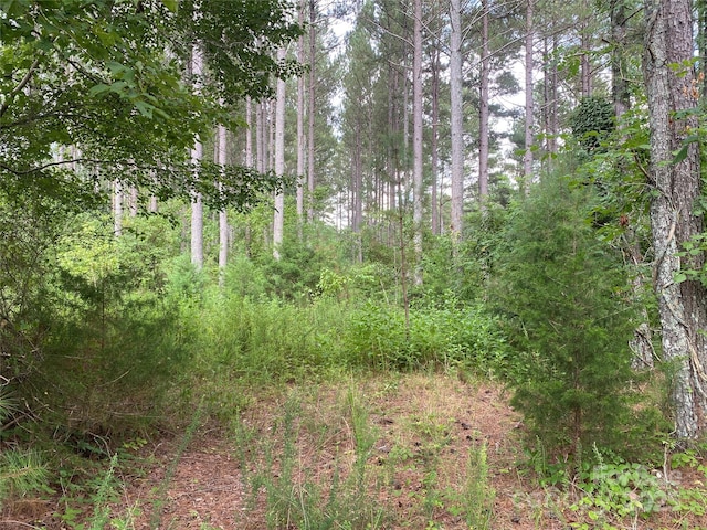 00 Jackson White Rd, Lawndale, NC 28090 - photo 39