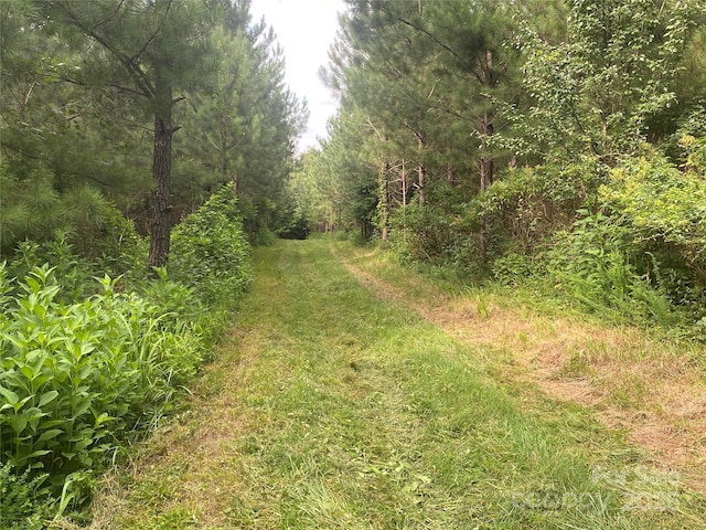 00 Jackson White Rd, Lawndale, NC 28090 - photo 40
