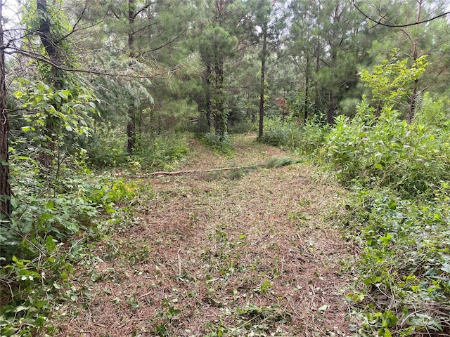 00 Jackson White Rd, Lawndale, NC 28090 - photo 41