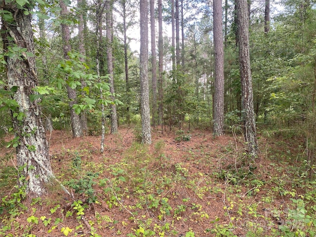 00 Jackson White Rd, Lawndale, NC 28090 - photo 42