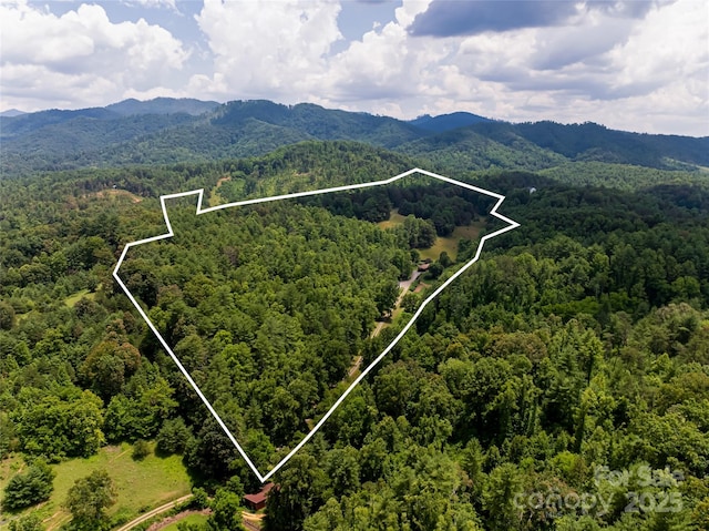 25 Elkins Branch Rd Unit 1, Weaverville, NC 28787