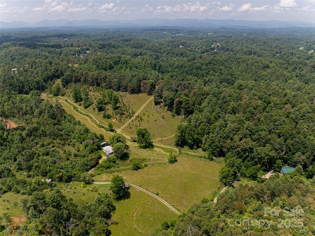 25 Elkins Branch Rd Unit 1, Weaverville, NC 28787
