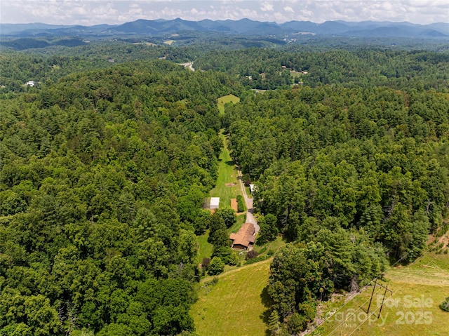 25 Elkins Branch Rd Unit 1, Weaverville, NC 28787