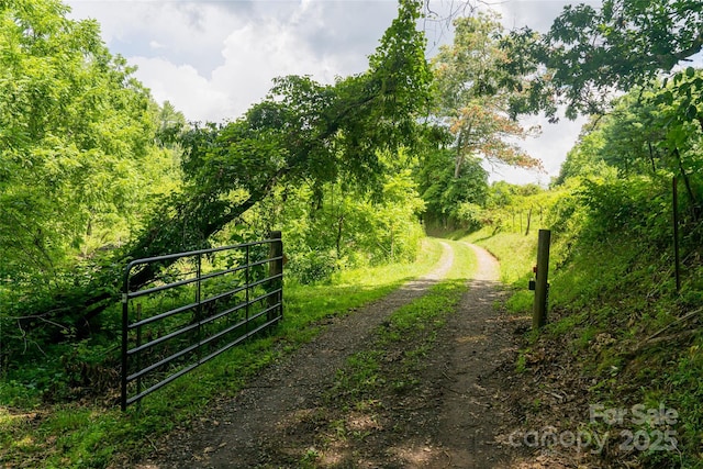 25 Elkins Branch Rd Unit 1, Weaverville, NC 28787
