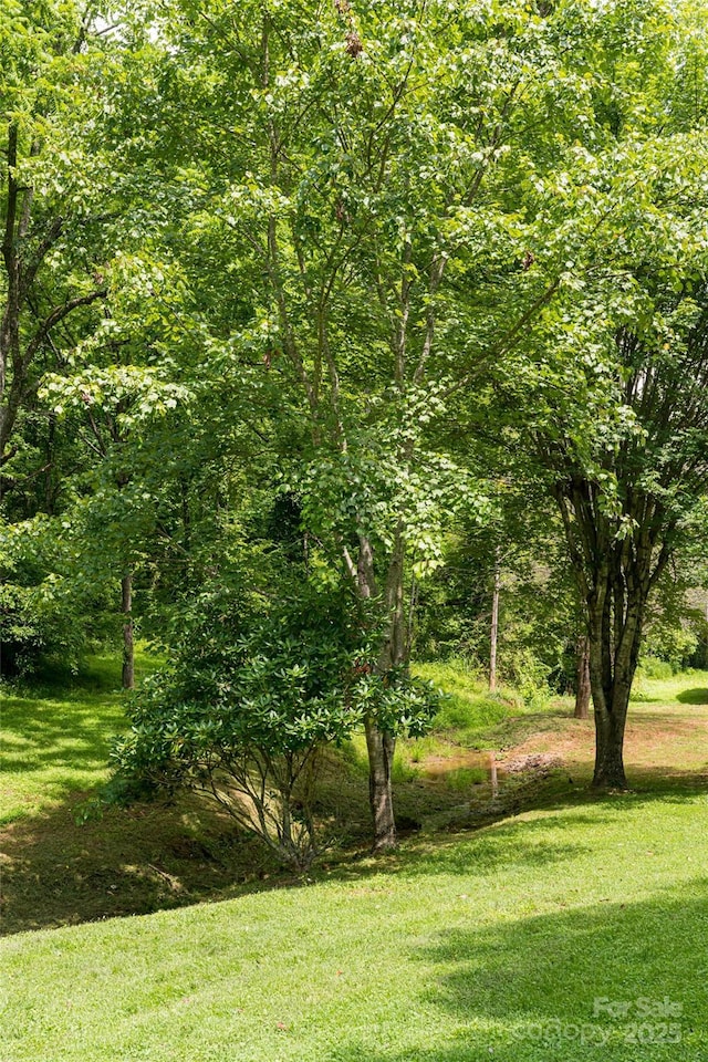25 Elkins Branch Rd Unit 1, Weaverville, NC 28787
