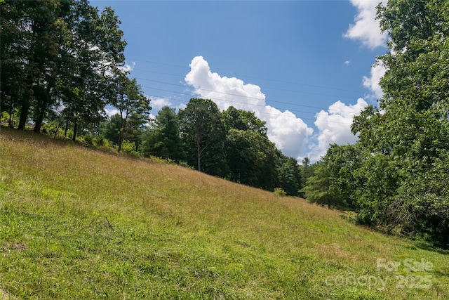 25 Elkins Branch Rd Unit 1, Weaverville, NC 28787