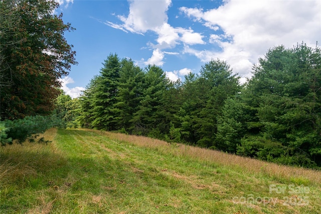 25 Elkins Branch Rd Unit 1, Weaverville, NC 28787
