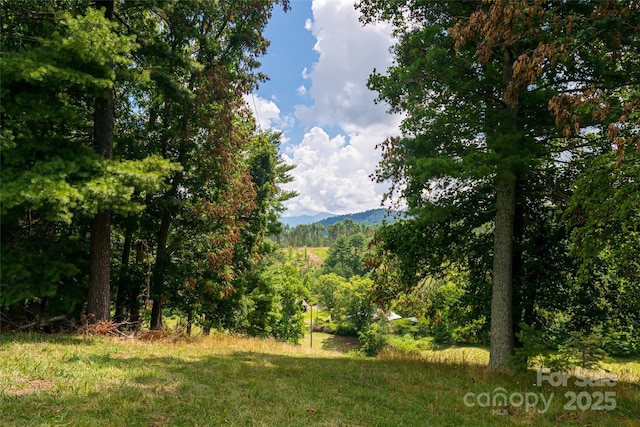 25 Elkins Branch Rd Unit 1, Weaverville, NC 28787